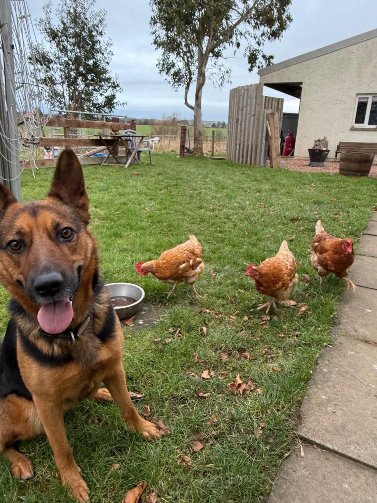 The Hen House Villa Haddington Luaran gambar